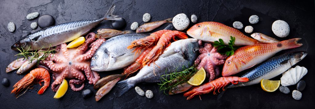 PORTFOLIO-Création du site internet e-commerce de la POISSONNERIE HAVETZ à Armentières - poissons